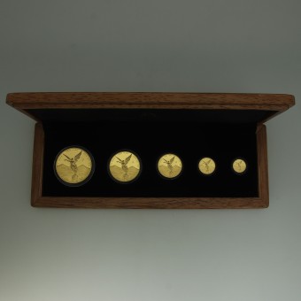 Goldmünze "Libertad" 2019 (PP) Set – 5-teilig (Mexiko)