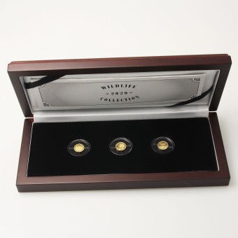 Goldmünzen "Wildlife Collection" 2020 (PP) Set – 3-teilig (Somalia + Kongo)