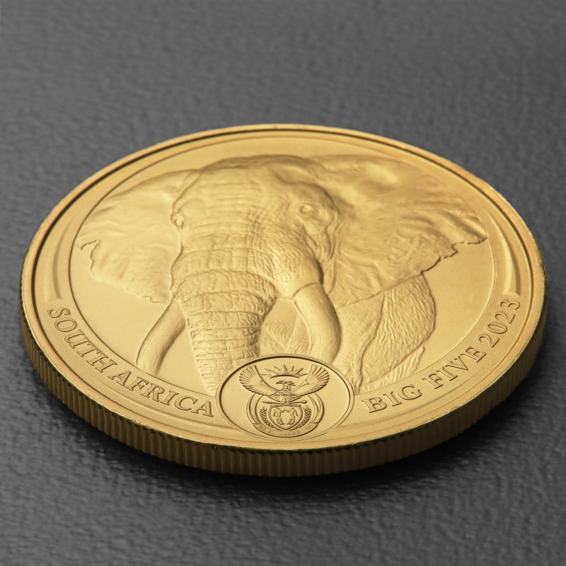Goldm nze 1oz elefant 2023 big five ii kaufen south africa big five
