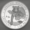 Silbermünze 1kg "Leopard" 2020 African Wildlife (Somalia)