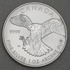 Silbermünze 1oz "Peregrine Falcon" 2014  Birds of Prey (Kanada)