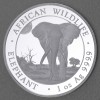 Silbermünze 1oz "Elefant" 2025 African Wildlife (Somalia)