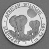 Silbermünze 1oz "Elefant" 2014 African Wildlife (Somalia)