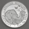 Silbermünze 5oz "Elefant" 2018 African Wildlife (Somalia)