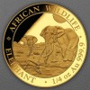 Goldmünze 1/4oz "Elefant" 2026 African Wildlife (Somalia)