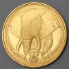 Goldmünze 1oz "Elefant 2023 - Big Five II" South Africa Big Five Series II