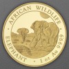 Goldmünze 1oz "Elefant" 2026 African Wildlife (Somalia)