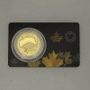 Goldmünze 1oz "Panning for Gold" 2021 Klondike Gold Rush (Kanada)