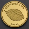 Goldmünze 20 Euro "Buche" 2011  Deutscher Wald (Deutschland)