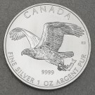 Silbermünze 1oz "Bald Eagle" 2014 Birds of Prey (Kanada)