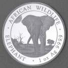 Silbermünze 1oz "Elefant" 2025 African Wildlife (Somalia)