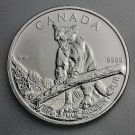 Silbermünze 1oz "Puma" 2012 Wildlife Canada (Kanada)