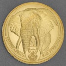 Goldmünze 1oz "Elefant" 2024 Big Five II (Südafrika)