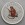 Silbermünze 1kg "Affe" 2004 (koloriert) Lunar I – Year of the Monkey (Australien)