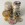 Silbermünze "50x 1oz gilded/coloriert" (Junk-Bag) 