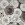 Silbermünze "Somalia Elefant" (Junk-Bag) 100x 1oz (Somalia)