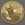 Goldmünze 100 Euro "Rothirsch" 2013 Unseren Wildtieren auf der Spur (Österreich)