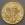 Goldmünze 1/10oz "Wiener Philharmoniker" aktueller Jahrgang (Österreich)