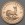 Goldmünze 1/2oz "Krügerrand" aktueller Jahrgang (Südafrika)