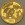 Goldmünze 1/2oz "Panda" 2008 (China)