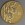 Goldmünze 1/2oz "Schlange" 2025 Lunar III – Year of the Snake (Australien)