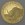 Goldmünze 1oz "Wollnashorn" 2021 Giants of Ice Age (Ghana)