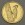 Goldmünze 20 Euro "Schwarzspecht" 2021 Heimische Vögel (Deutschland)