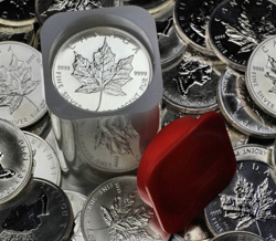 Maple Leaf Silbermünzen in der Tube
